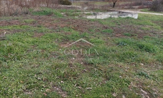 Brtonigla - prodaja gradbenega zemljišča s projektom za 2 hiši!