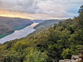 Sveti Lovreč - prodaja kmetijskega zemljišča