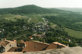 Okolica Motovuna - prodamo mešano zemljišče, 4.646 m2