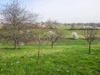 Karlovac – prodaja hiše z dvoriščem in sadovnjakom