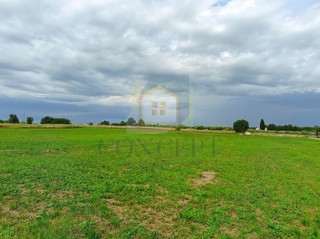 Poreč, Tar, Gradbena zemljišča ob robu urbanizacije, 3,5 km od morja