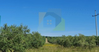 Poreč, okolica, Građevinsko zemljišče 300 m od morja T1 cona