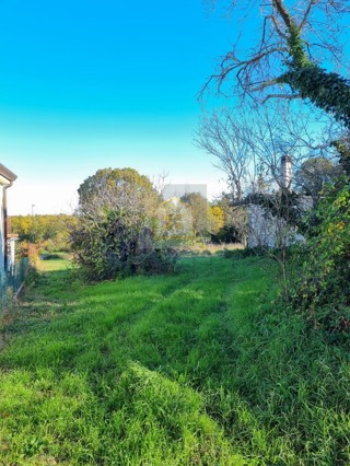 Buje, okolica, Građevinsko zemljišče 2100 m2, 7 km od morja