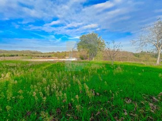 Poreč, okolica, Građevinsko zemljišče s pogledom na naravo