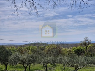 Rovinj, Bale, okolica - EKSKLUZIVA AGENCIJE - Građevinsko zemljišče s pogledom na morje, 16 km od morja