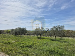 Rovinj, Bale, okolica - EKSKLUZIVA AGENCIJE - Gradbena zemljišča s pogledom na morje, 16 km od morja