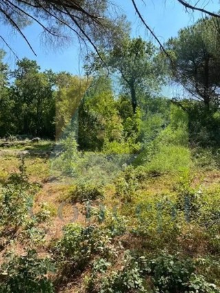 Poreč, Gradbeniško zemljišče na atraktivni lokaciji 700 m od morja