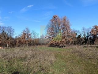 Poreč, okolica, Gradbeno zemljišče 543 m2 in kmetijsko zemljišče 1527 m2