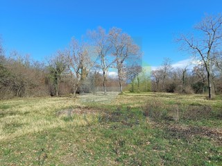 Poreč, Tar - ZNIŽENA CENA - Gradbena zemljišča T2 območje 1,5 km od morja