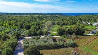 Poreč, okolica, Građevinsko zemljišče s pogledom na morje, 1 km od morja