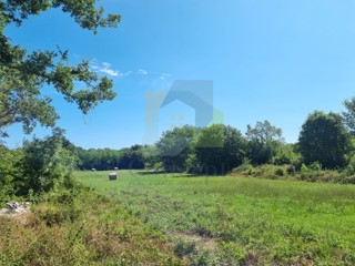 Poreč, Baderna - EKSKLUZIVA AGENCIJE - Gradbena zemljišča z negrađevinskimi, 20 km od morja