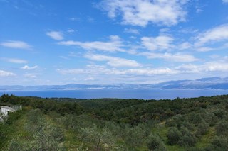 Brač, zemljišče 35.000 m2 s pogledom na morje