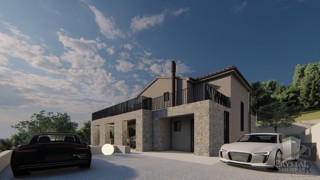 Vila v buje