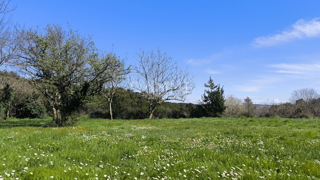 Istra, Premantura - atraktivno gradbeno zemljišče