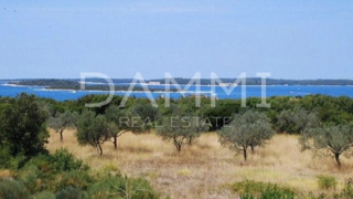 Istra, Štinjan - atraktivno gradbeno zemljišče, pogled na morje