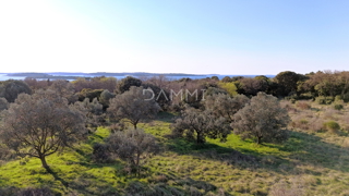 Istra, Štinjan - atraktivno gradbeno zemljišče, pogled na morje