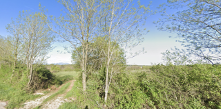 OSREDNJA ISTRA - Veliko kmetijsko zemljišče ob asfaltu