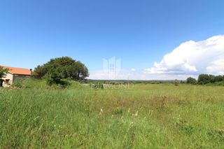 Poreč, okolica – Zazidljivo zemljišče 702 m², idealno za družinsko hišo