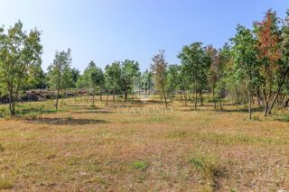 Svetvinčenat, okolica, zemljišče na mirni lokaciji