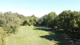 Poreč, okolica, prostorno zemljišče v naravi na osamljenem območju