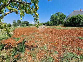 Zemljišče Novigrad, 1.119m2
