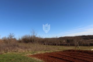 Poreč, okolica, zemljišče z odprtim pogledom, obdano z naravo