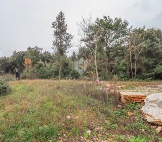 Rovinj! Kmetijska zemljišča v bližini morja!