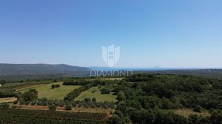 Barban, prostorno gradbeno zemljišče s pogledom na morje