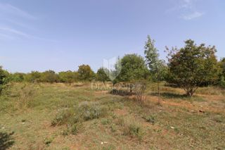 Svetvinčenat, odlično gradbeno zemljišče!