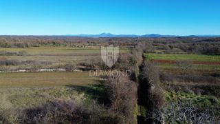 Zemljišče Barban, 1.381m2