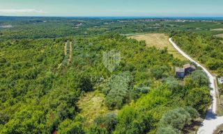 Buje, Krasica, zemljišče 2.000 m² z odprtim razgledom in projektom!