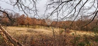 Žminj, prostorna zemlja za nove projekte