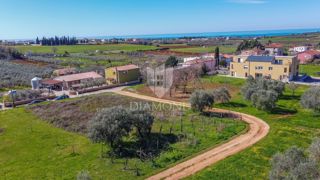 Zemljišče Novigrad, 1.260m2