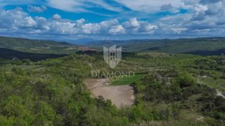 Istra, Buje, okolica - investicijska priložnost!