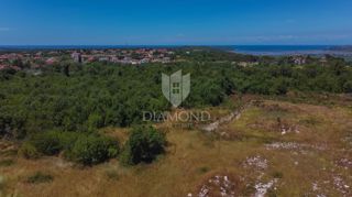 Istra, Buje, okolica, hiša z bazenom in vrtom!