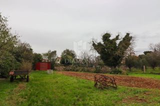 EDINSTVENA PRILOŽNOST, zazidljivo zemljišče v središču Vodnjana!