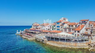 Umag, Istrska hiša s poslovnim prostorom 1. vrsta do morja!