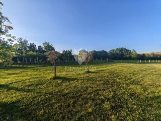 Zemljišče Nedešćina, Sveta Nedelja, 2.285m2