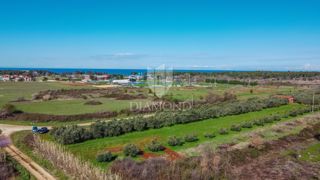 Umag, odlično gradbeno zemljišče 3.700 m2 za investicijo v bližini mesta in morja!