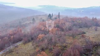 Motovun, gozd na mirni lokaciji!