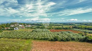 Okolica Umaga, zemljišče z investicijskim potencialom 450 m od morja!