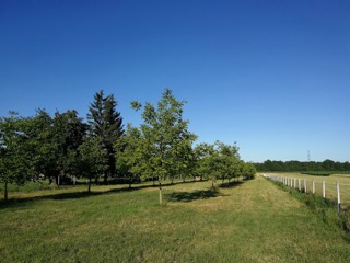 Zemljišče Dubovec, Koprivnica, 4.881m2