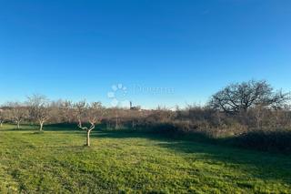 Zazidljivo zemljišče Vodnjan, 481m2