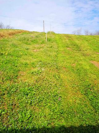 Zazidljivo zemljišče Beretinec, 1.050m2
