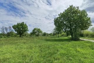 Zemljišče Sveti Ivan, Višnjan, 12.000m2