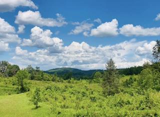 Kmetijsko zemljišče Donje Primišlje, Slunj, 262.000m2