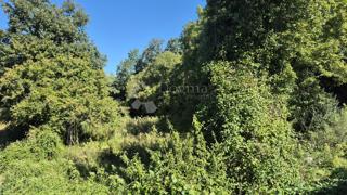 Kmetijsko zemljišče velikosti 1636 m2 naprodaj v Cukrićima