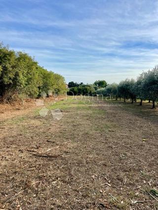 Fantastično zemljišče v Premanturi