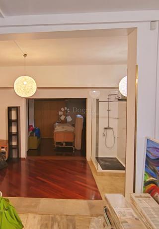 Poslovni prostor Lug Samoborski, Samobor - Okolica, 184m2