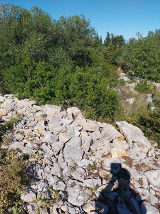 Zazidljivo zemljišče Božava, Sali, 581m2